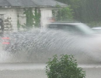 Flood In Olympia